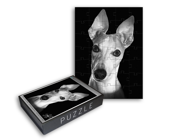 Prod_Puzzle_Small-orlando