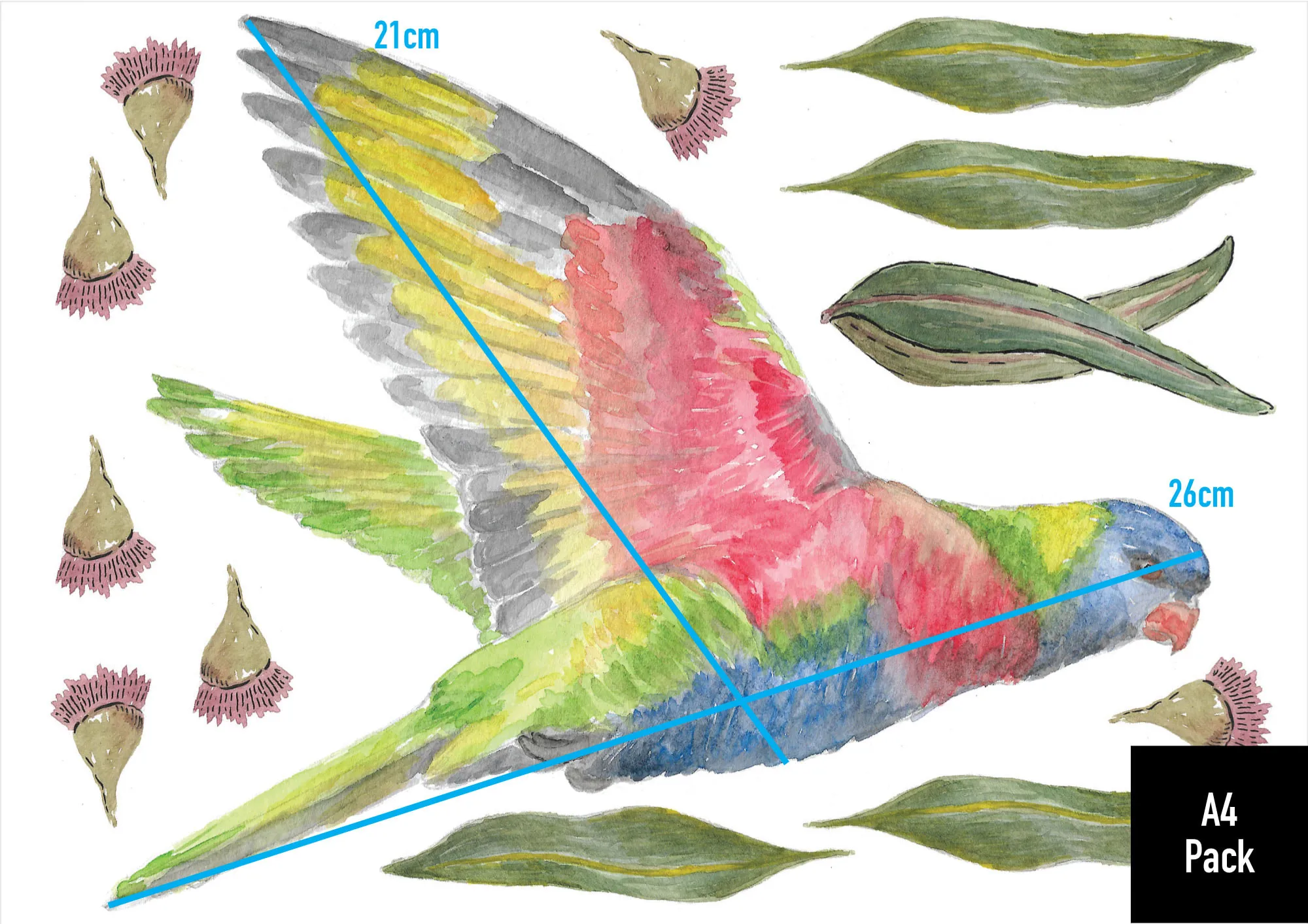 WD-Lorikeet-Gallary-1