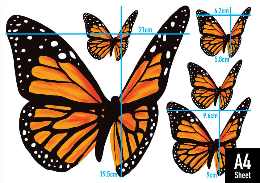 WD-Butterfly-Monarch-G1-Orange-A4-pack