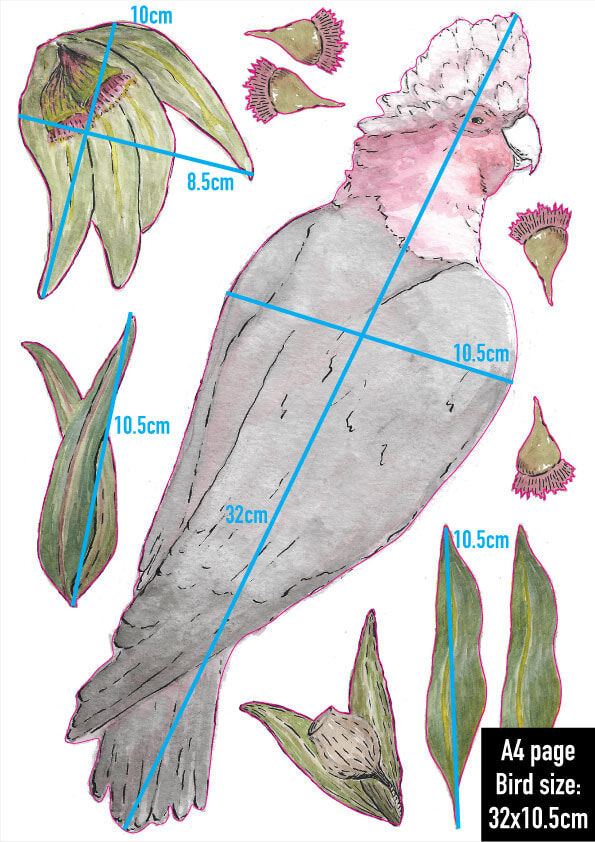 WD-Galah-B-A4-page